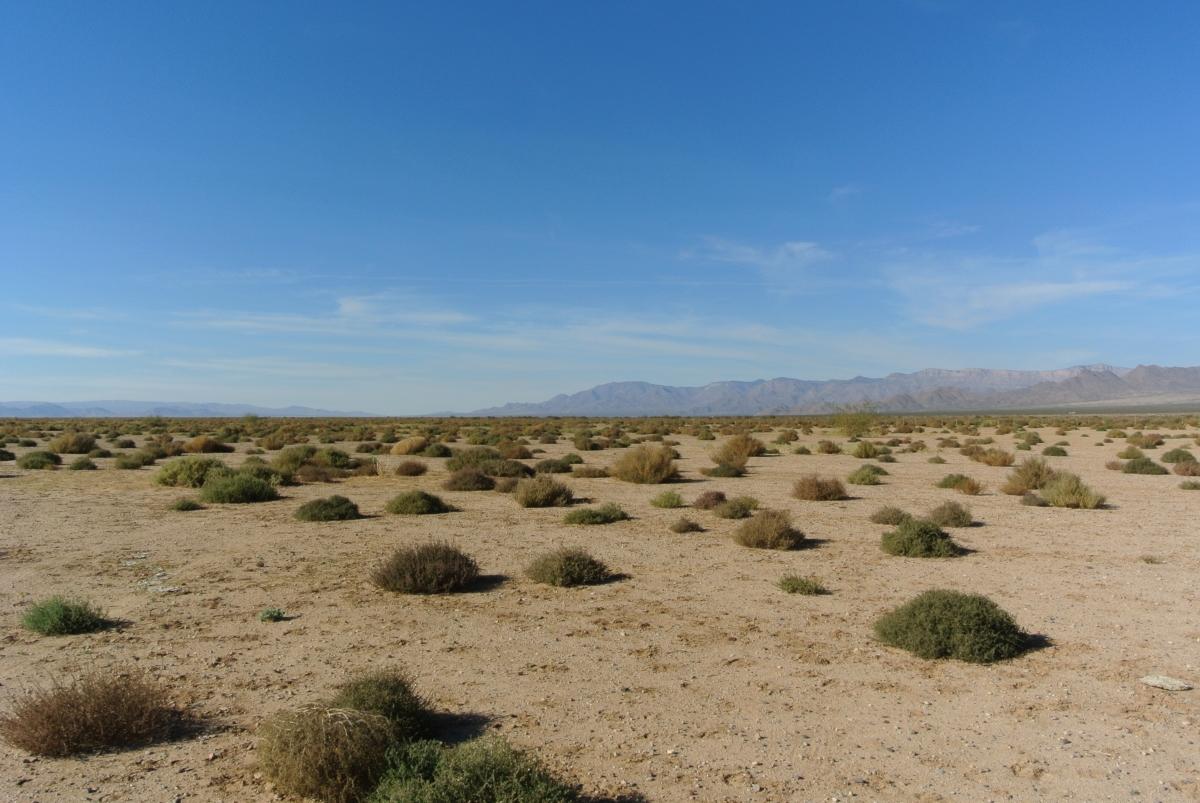 1.25 Acres for Sale in Kingman Elementary District, Arizona