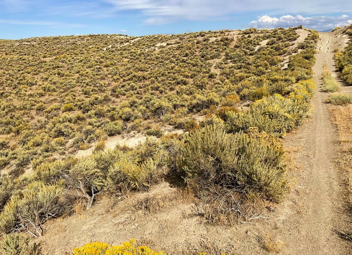 1.03 Acres for Sale in Salt Lake, Nevada