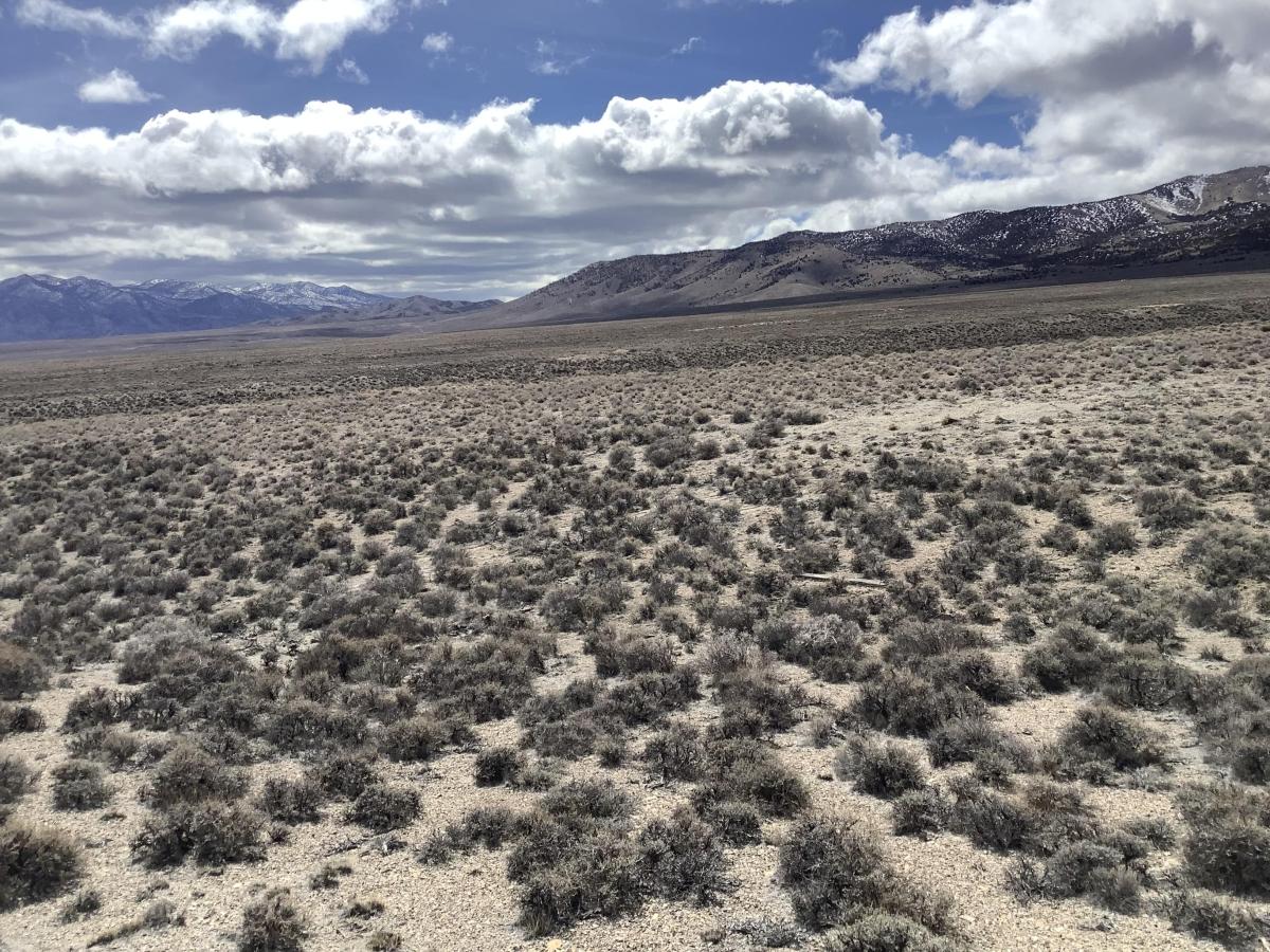 2.27 Acres for Sale in Montello, Nevada