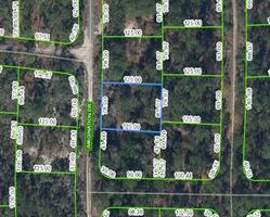 0.23 Acres for Sale in Lake Placid, Florida