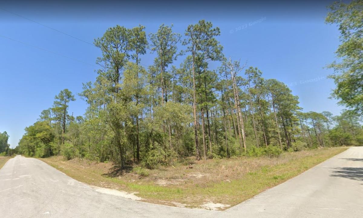 0.50 Acres for Sale in Dunnellon, Florida