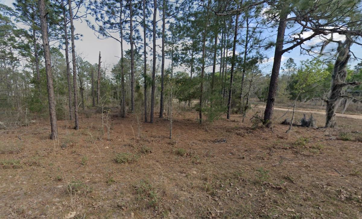 0.26 Acres for Sale in Interlachen, Florida