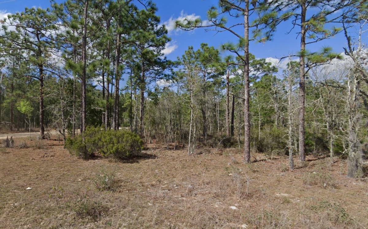0.26 Acres for Sale in Interlachen, Florida