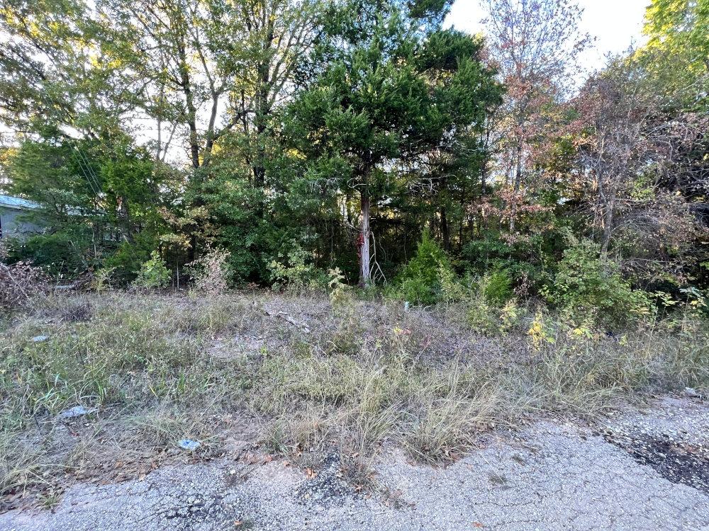 0.21 Acres for Sale in Mabank, Texas