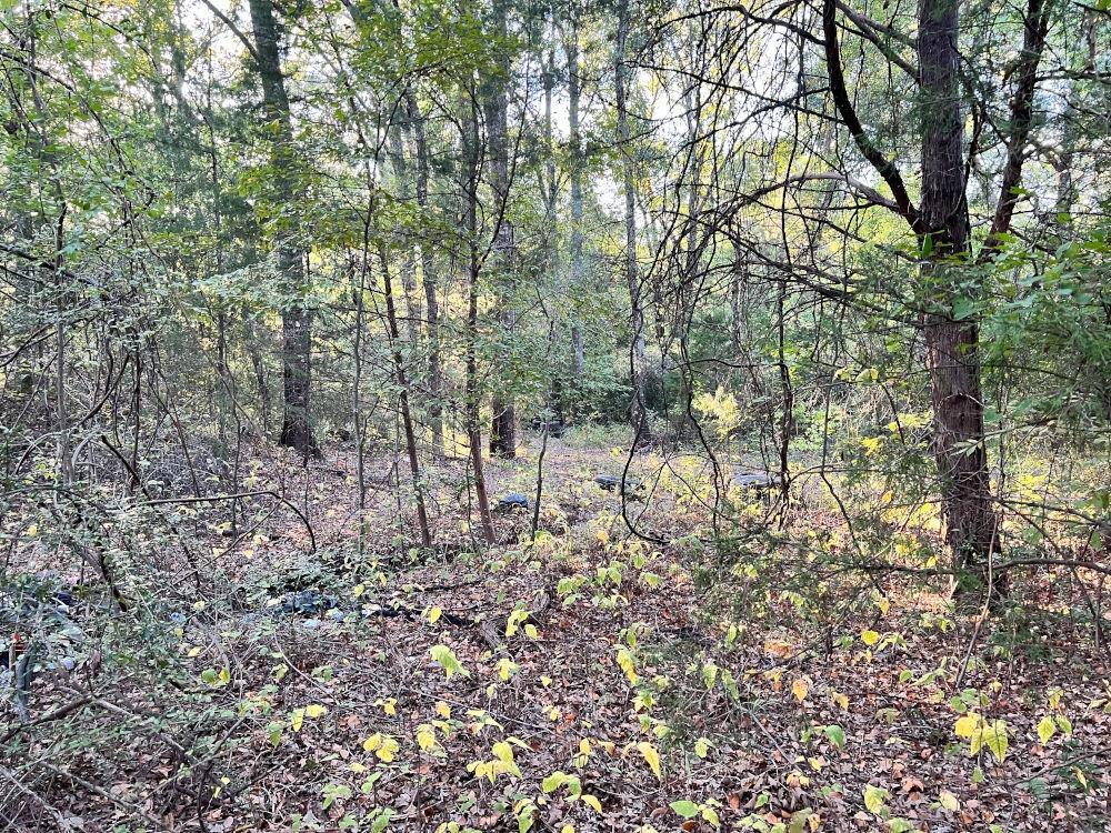 0.21 Acres for Sale in Mabank, Texas