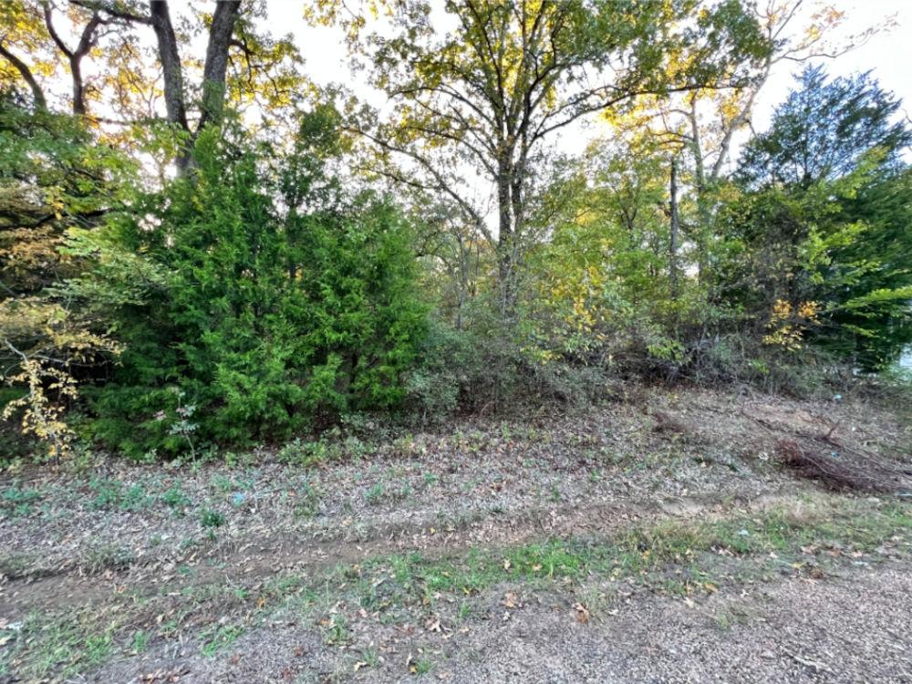 0.11 Acres for Sale in Mabank, Texas