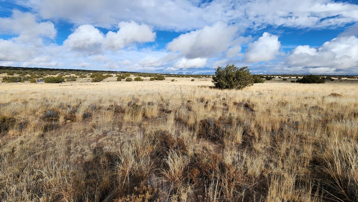 1.24 Acres for Sale in Nahata Dziil, Arizona