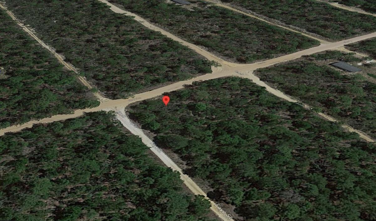 0.2 Acres for Sale in Interlachen, Florida