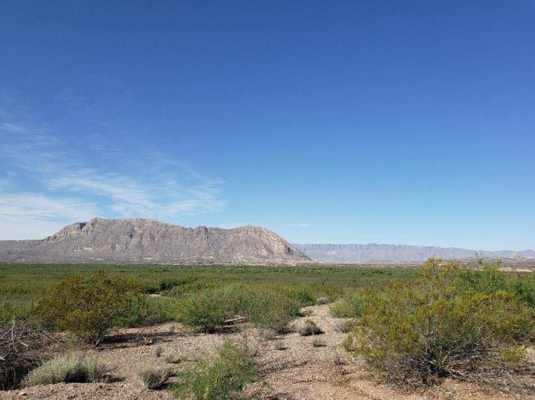 20 Acres for Sale in Adobes, Texas