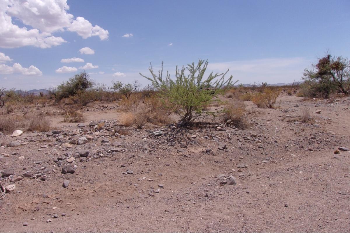 1.07 Acres for Sale in Dolan Springs, Arizona