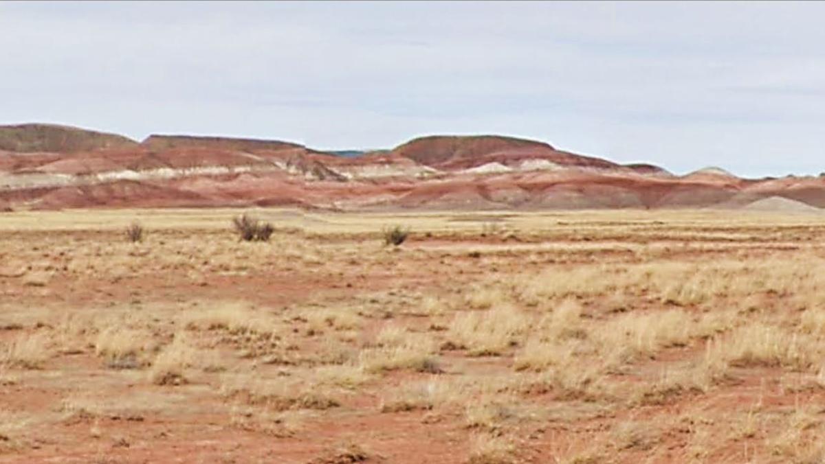 10 Acres for Sale in Winslow-Holbrook, Arizona