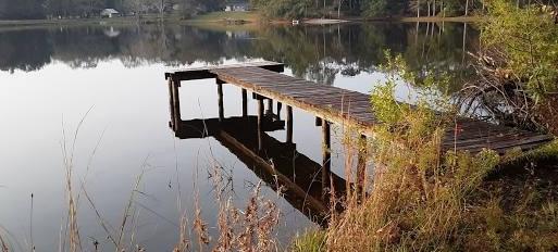 0.26 Acres for Sale in Avinger, Texas