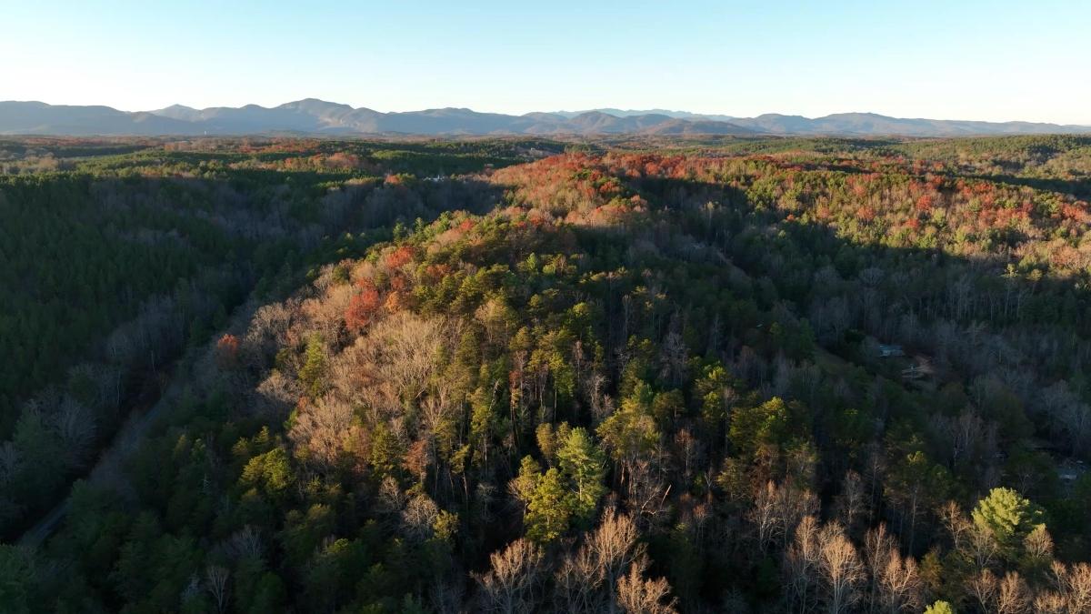 19.95 Acres for Sale in Mill Spring, North Carolina