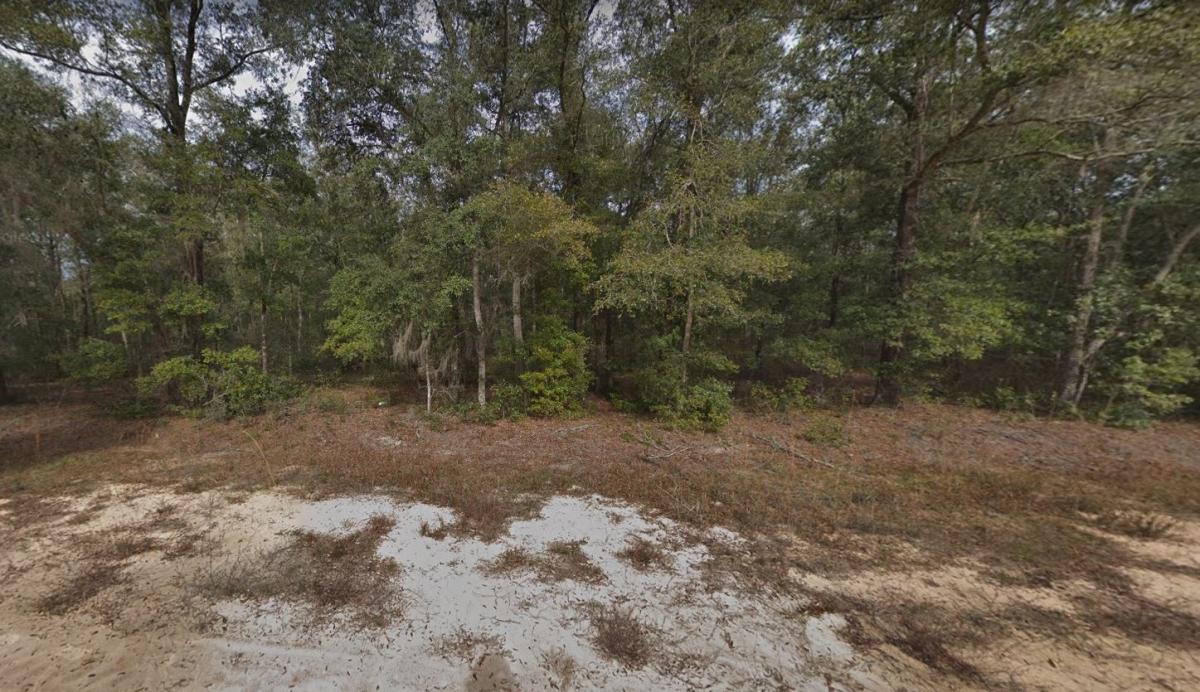 0.22 Acres for Sale in Interlachen, Florida