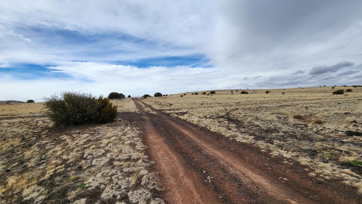 1.04 Acres for Sale in Adamana, Arizona