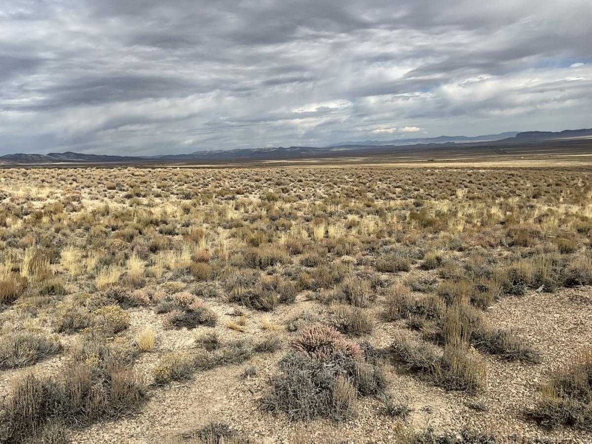 2.06 Acres for Sale in Loray, Nevada