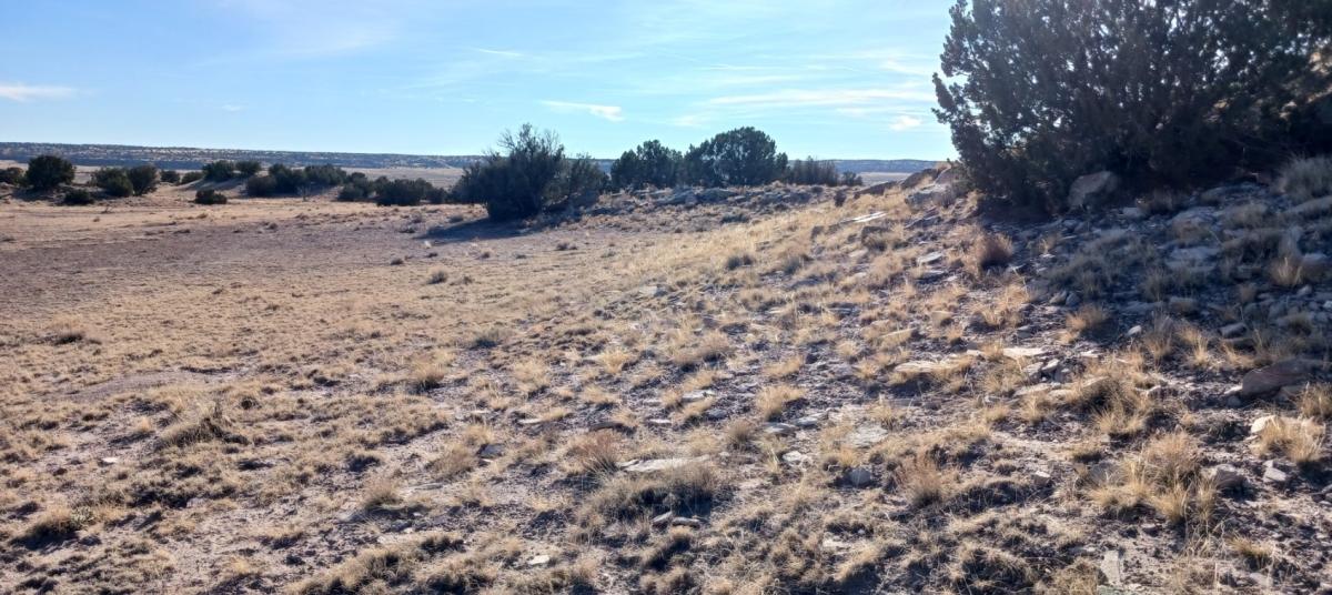 1.01 Acres for Sale in Sanders, Arizona