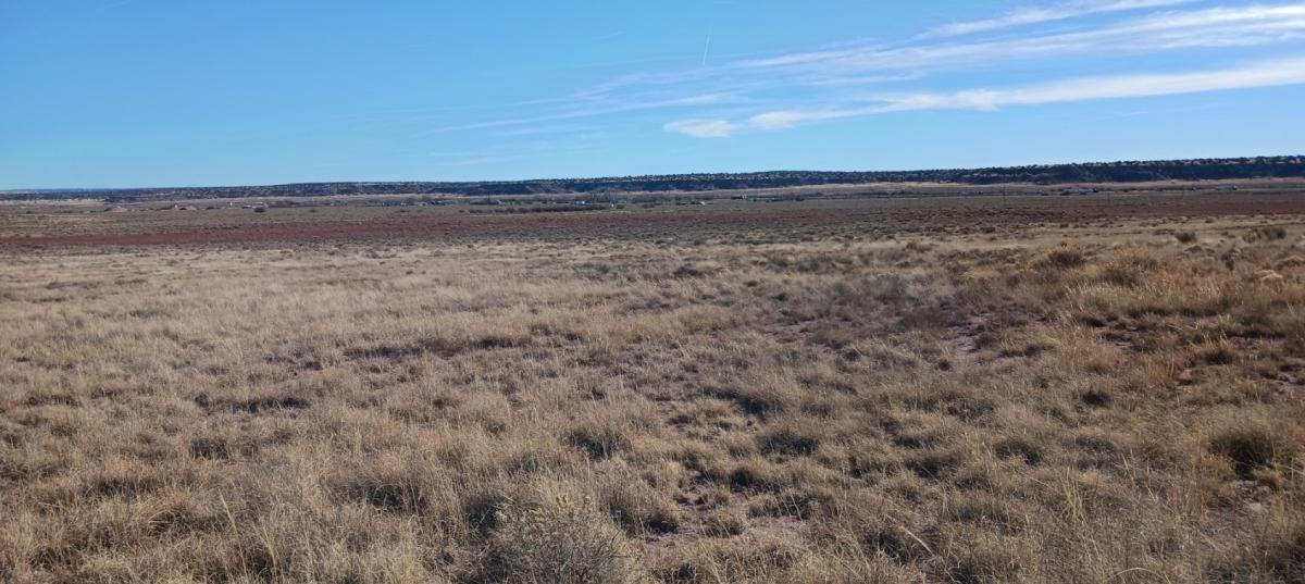 1.77 Acres for Sale in Chambers, Arizona