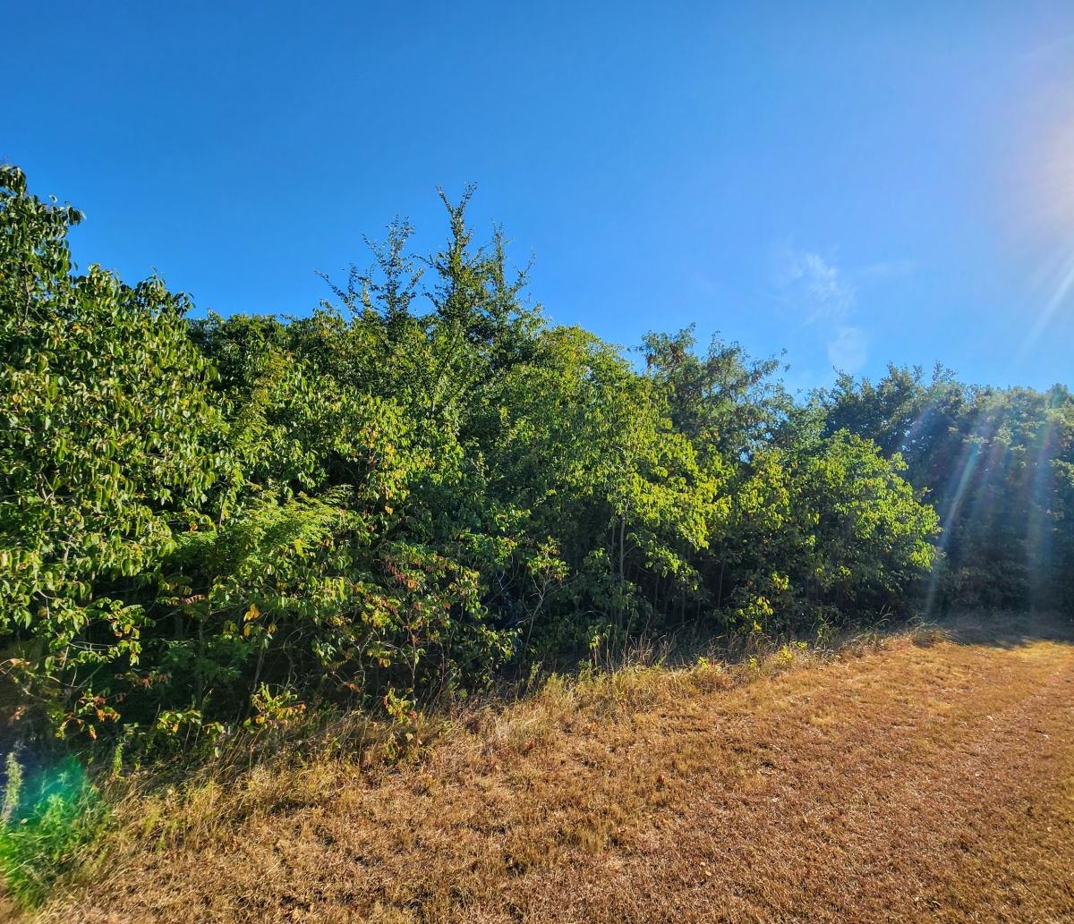 0.45 Acres for Sale in Kingston, Oklahoma