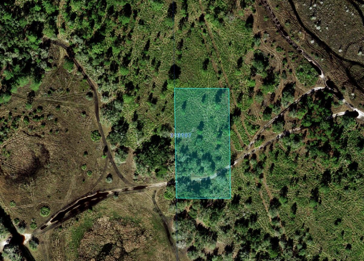 1.25 Acres for Sale in River Ranch, Florida