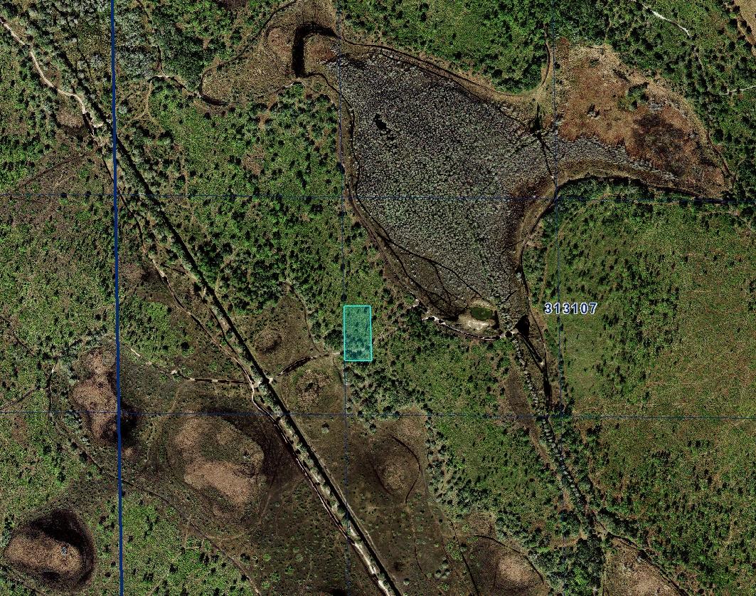 1.25 Acres for Sale in River Ranch, Florida