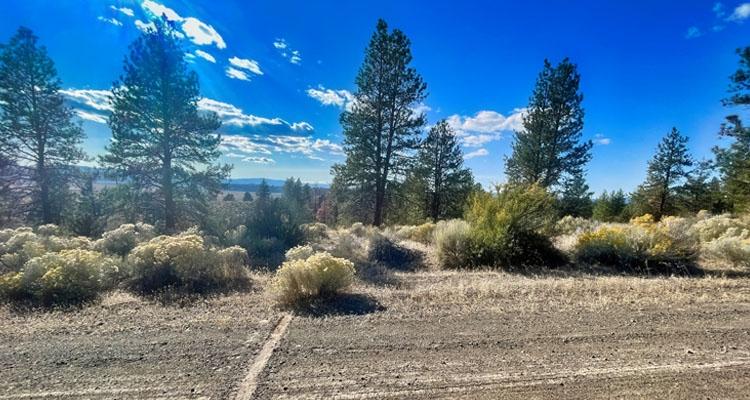 1.5 Acres for Sale in BEATTY, Oregon