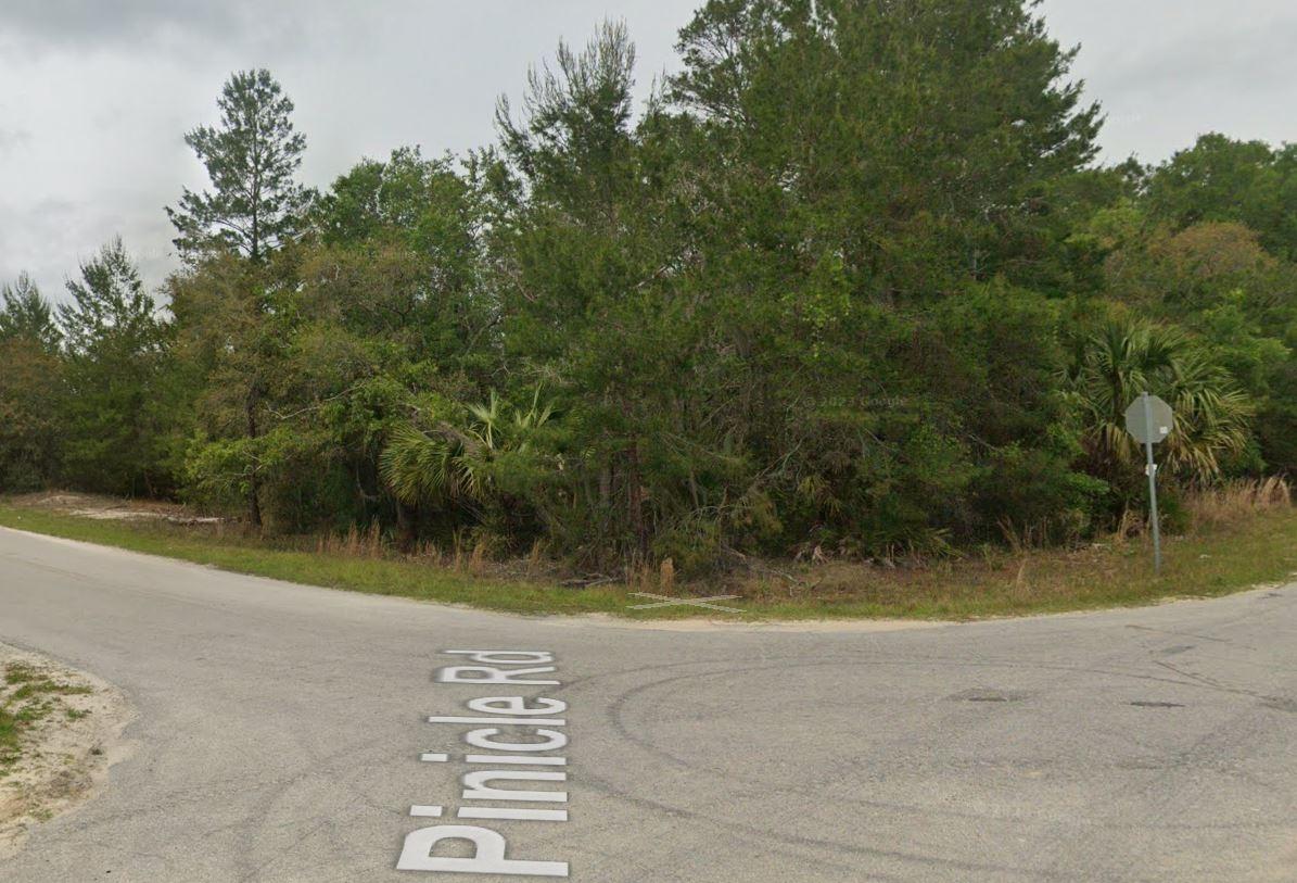0.25 Acres for Sale in Satsuma, Florida