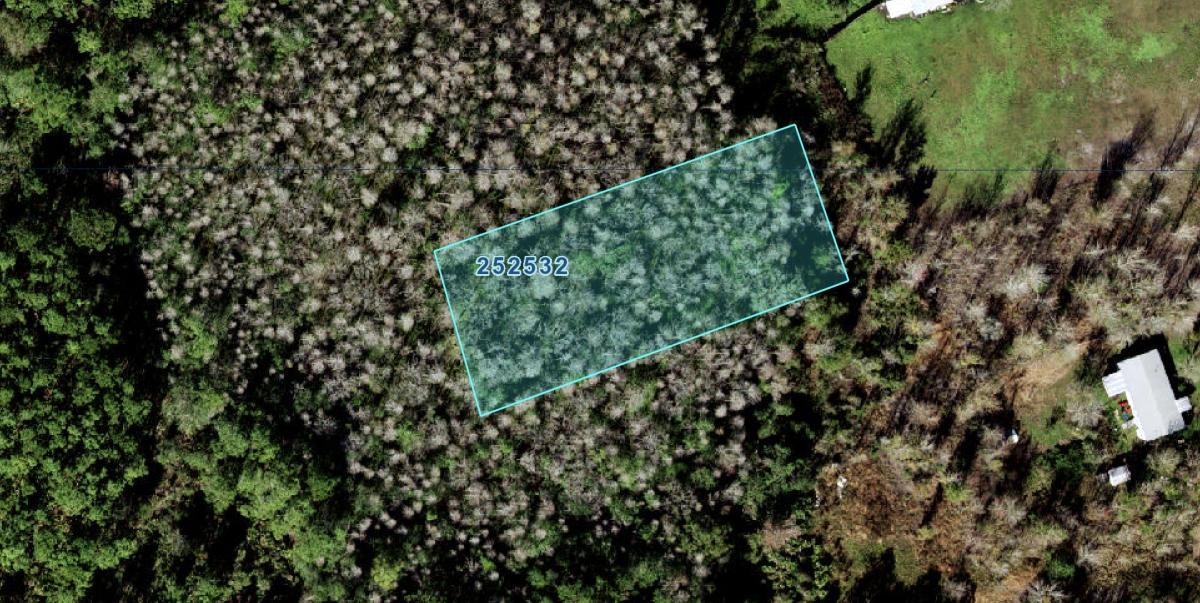 0.72 Acres for Sale in Polk City, Florida