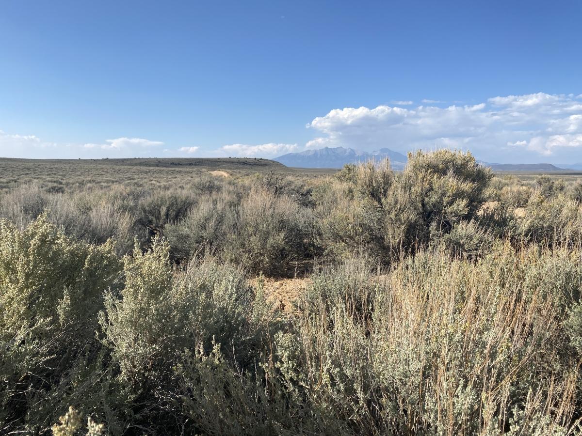10 Acres for Sale in Mesita, Colorado