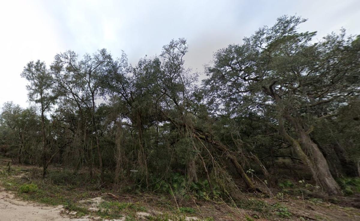 0.40 Acres for Sale in Interlachen, Florida