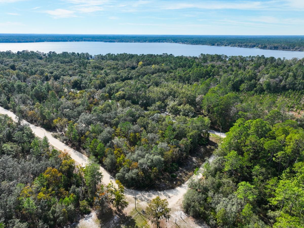 0.25 Acres for Sale in Florahome, Florida