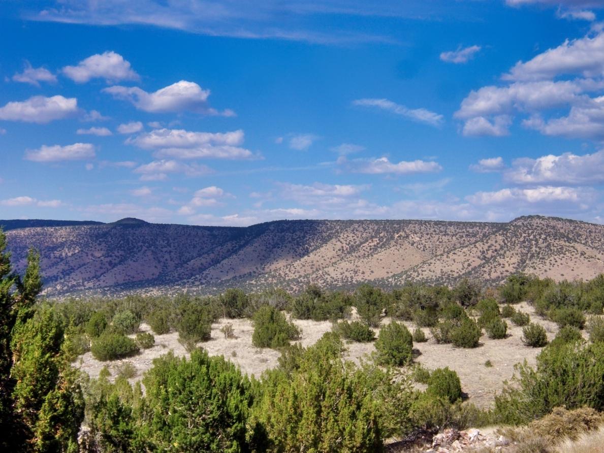 2.42 Acres for Sale in Seligman, Arizona