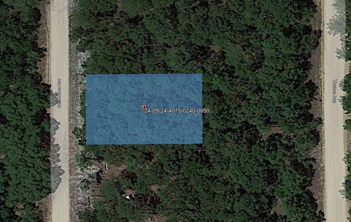 0.22 Acres for Sale in Interlachen, Florida