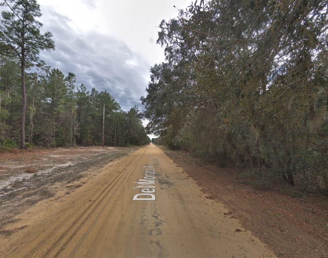0.22 Acres for Sale in Interlachen, Florida