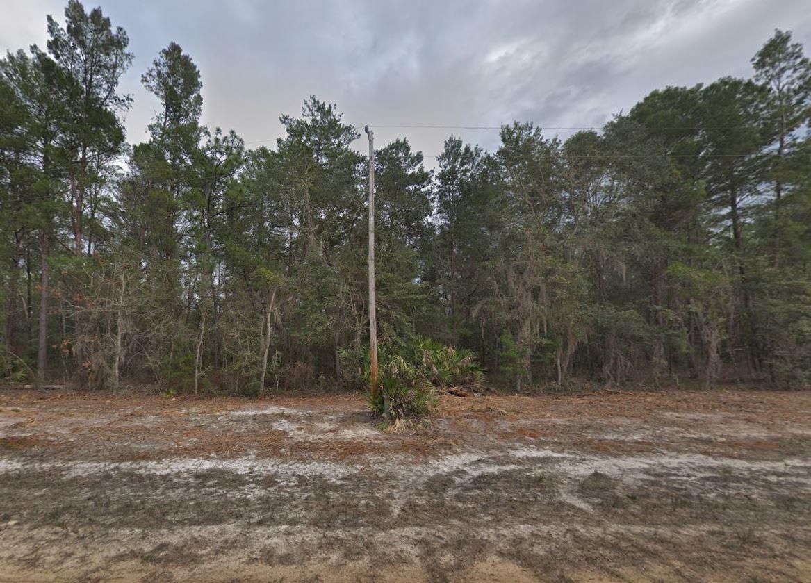 0.22 Acres for Sale in Interlachen, Florida