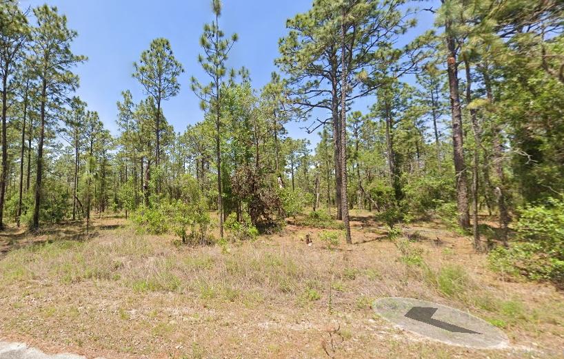 0.24 Acres for Sale in Dunnellon, Florida