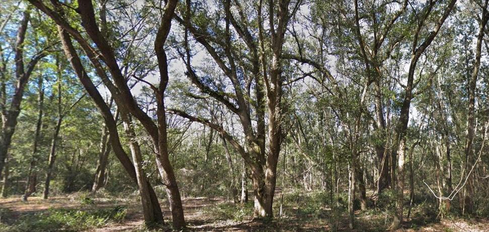 0.22 Acres for Sale in Interlachen, Florida