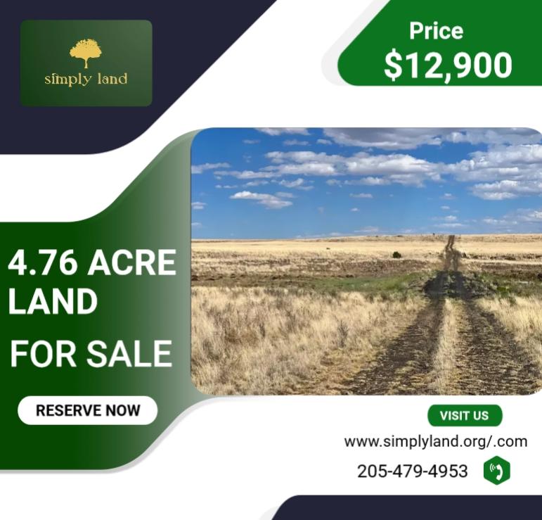 4.76 Acres for Sale in Concho, Arizona