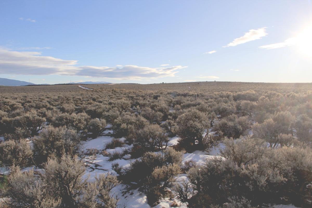 4.96 Acres for Sale in San Luis, Colorado