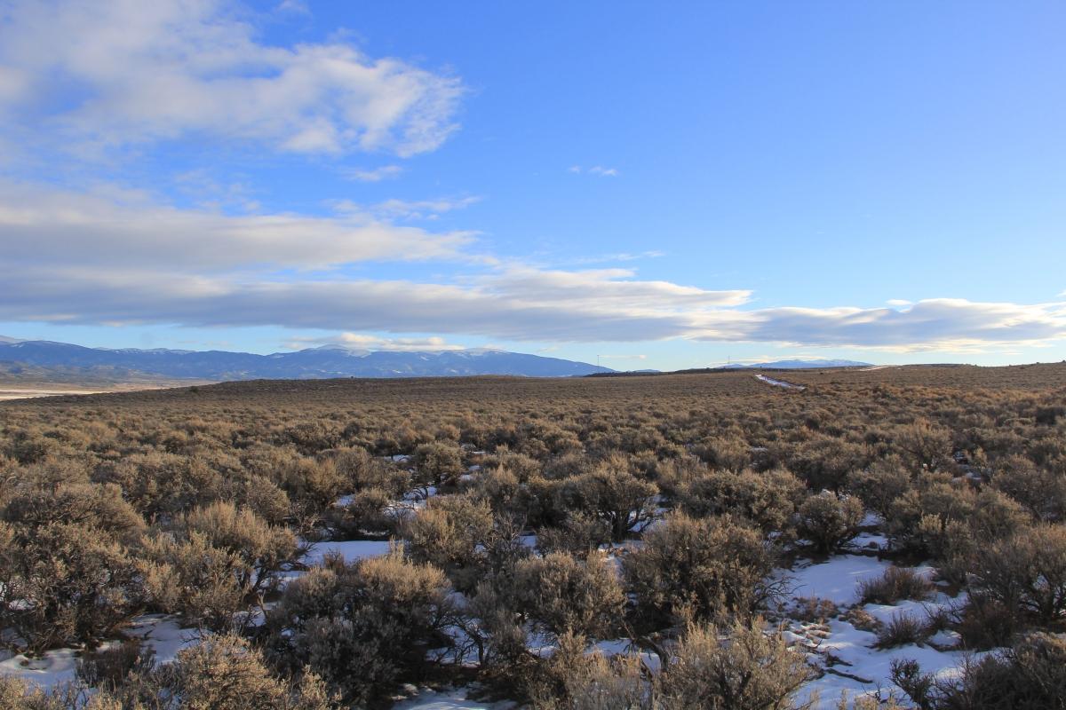 4.96 Acres for Sale in San Luis, Colorado