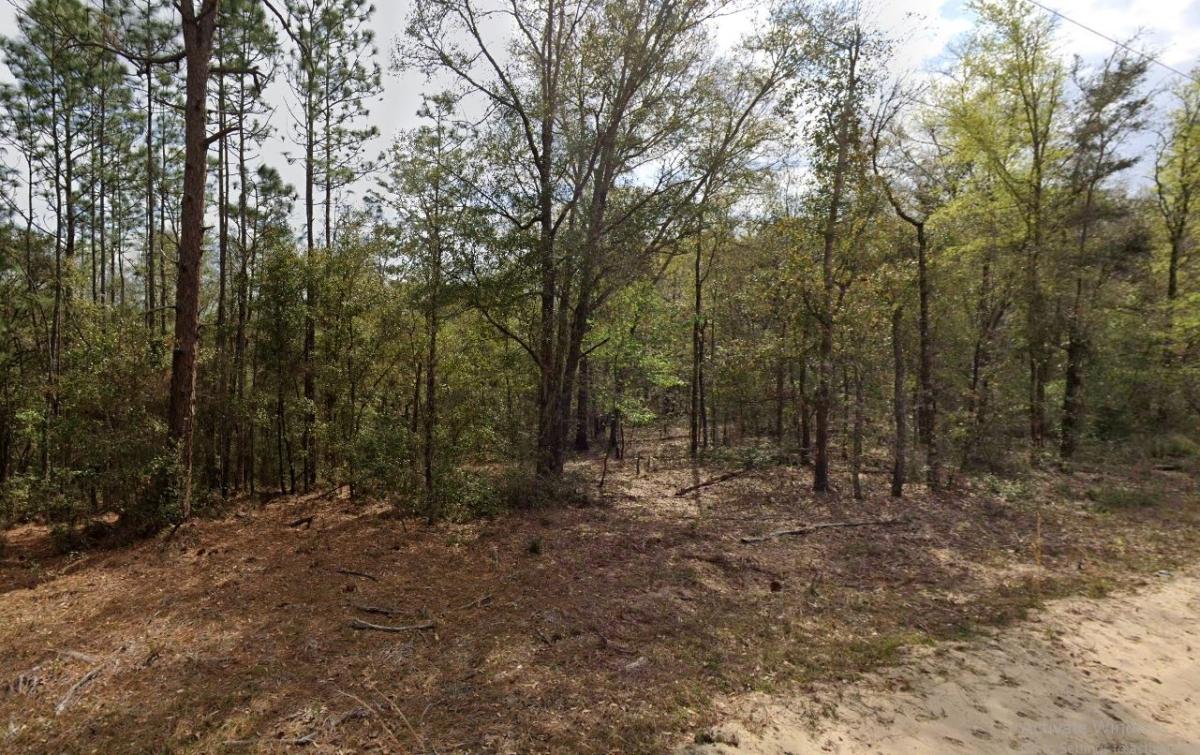 0.62 Acres for Sale in Interlachen, Florida