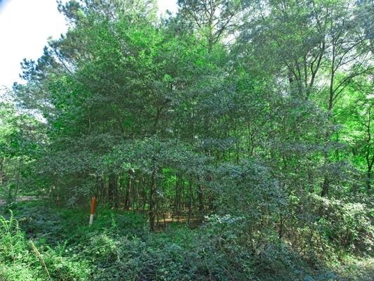 0.26 Acres for Sale in Harleton, Texas