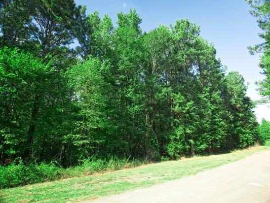 0.74 Acres for Sale in Harleton, Texas