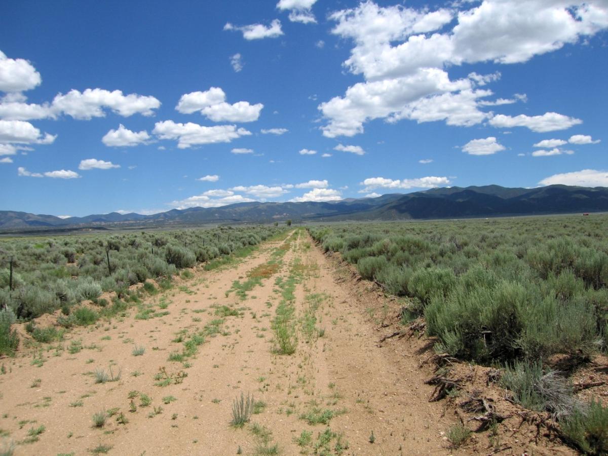 4.60 Acres for Sale in Fort Garland, Colorado