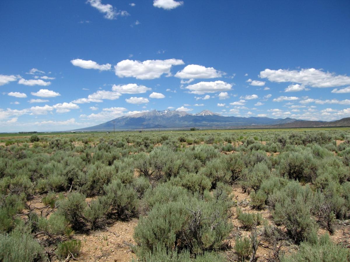 4.60 Acres for Sale in Fort Garland, Colorado