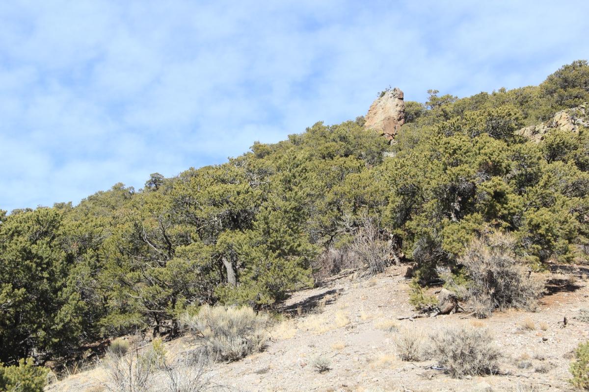 6.37 Acres for Sale in Sangre de Cristo Ranches, Colorado