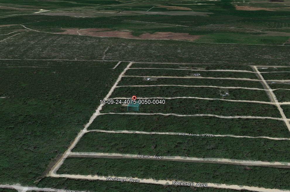 0.22 Acres for Sale in Interlachen, Florida