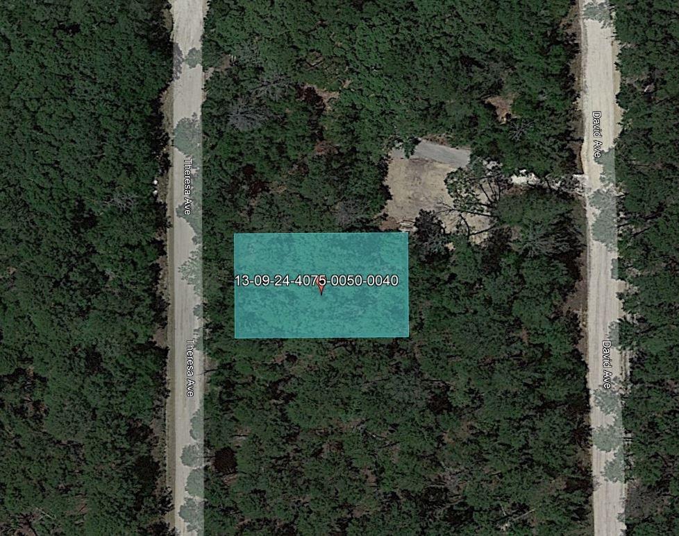 0.22 Acres for Sale in Interlachen, Florida