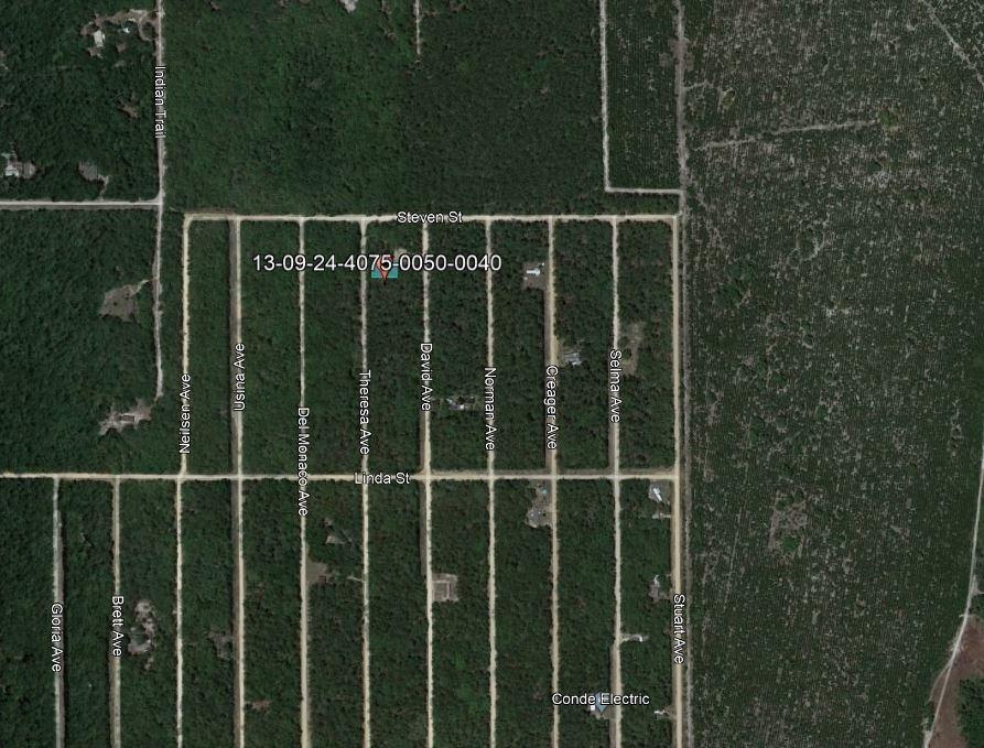 0.22 Acres for Sale in Interlachen, Florida