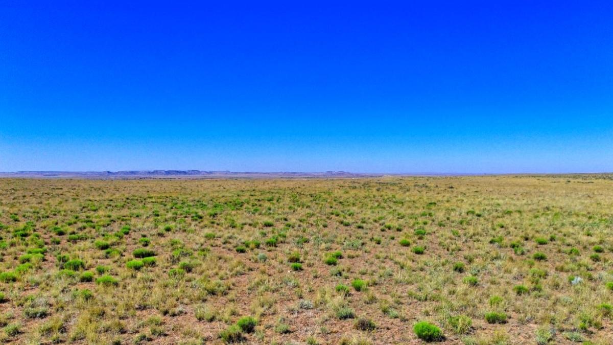 1.15 Acres for Sale in Adamana, Arizona